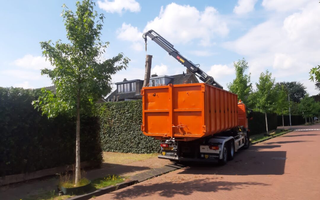 Verwijderen dode conifeer