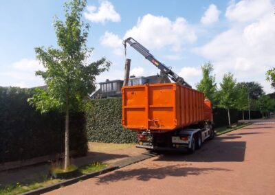verwijderen dode conifeer